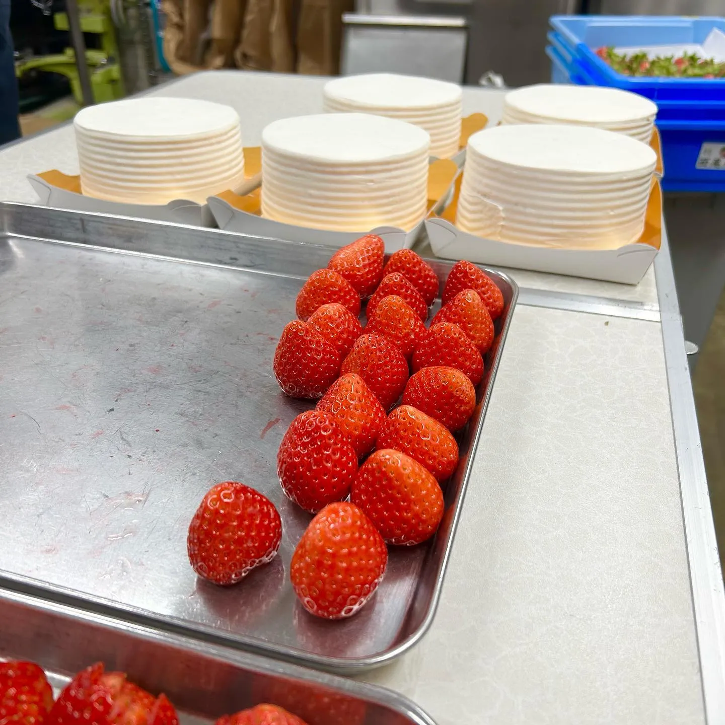 またまた！王様が出ましたよ👑🍓