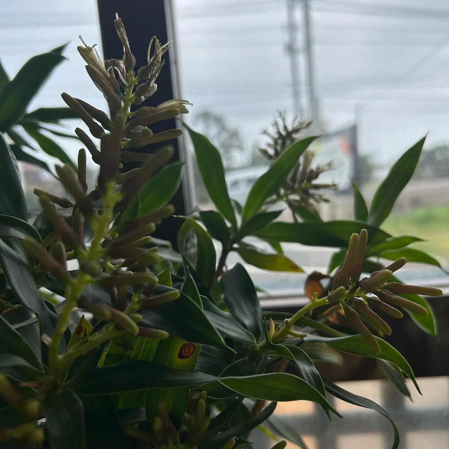 3月もたくさんのお客様にご来店頂きありがとうございました！