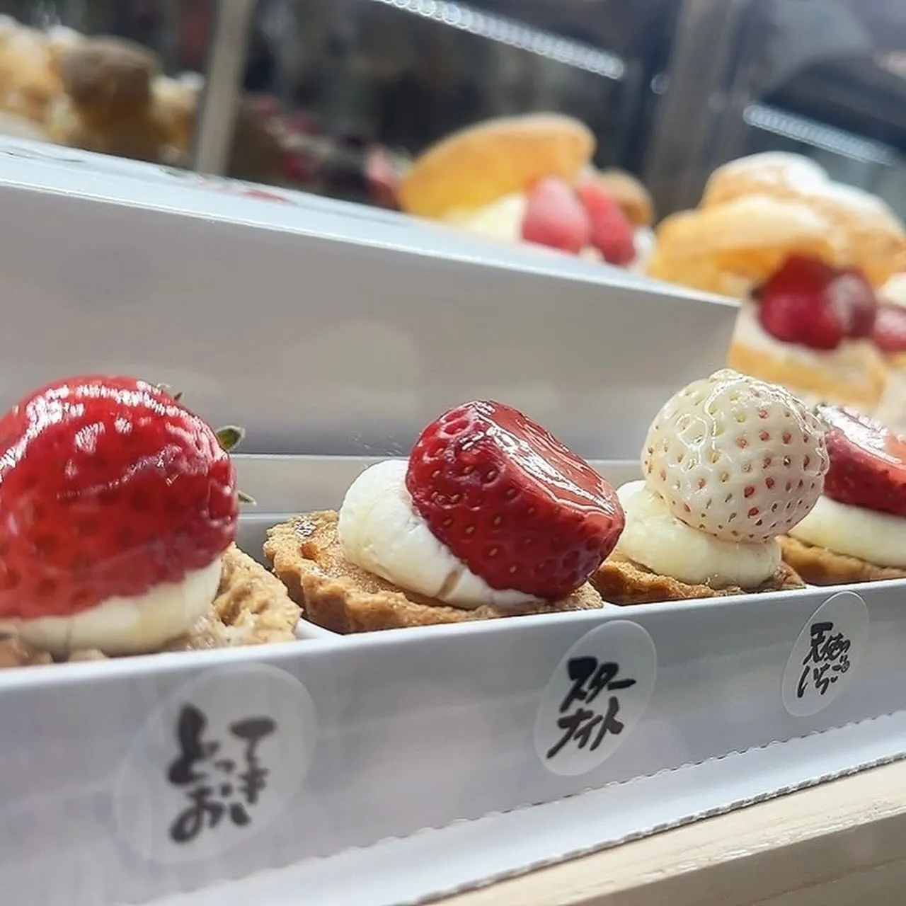 最後のモンテタルト！🍓