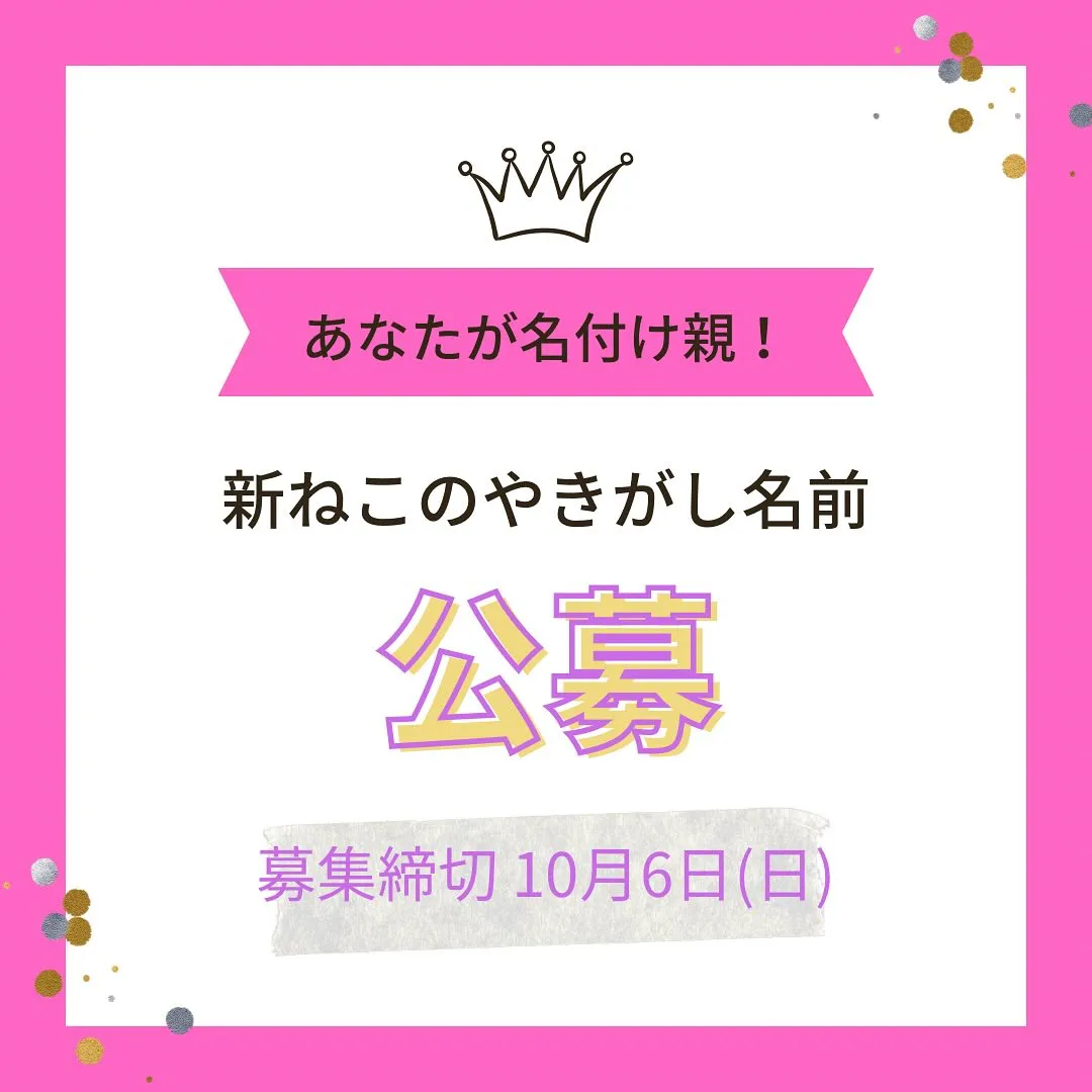 新ねこのやきがしの名前公募終了まであと3日!